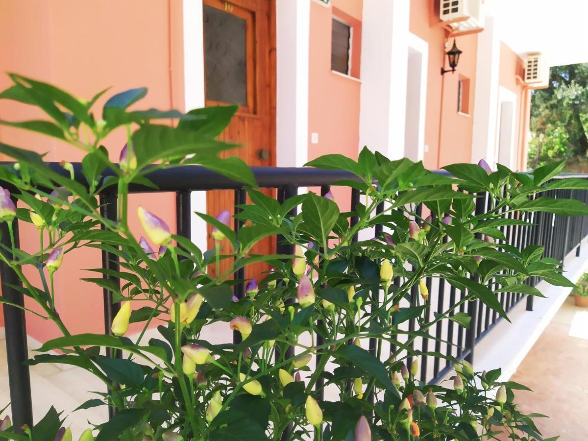 Aronis Apartments Бенитсес Экстерьер фото